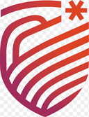 MS Ramaiah Institute of Technology logo
